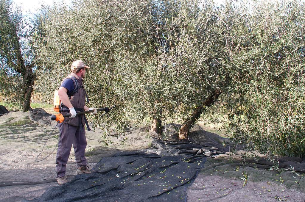 Willa Due Piani Barberino di Val dʼElsa Zewnętrze zdjęcie