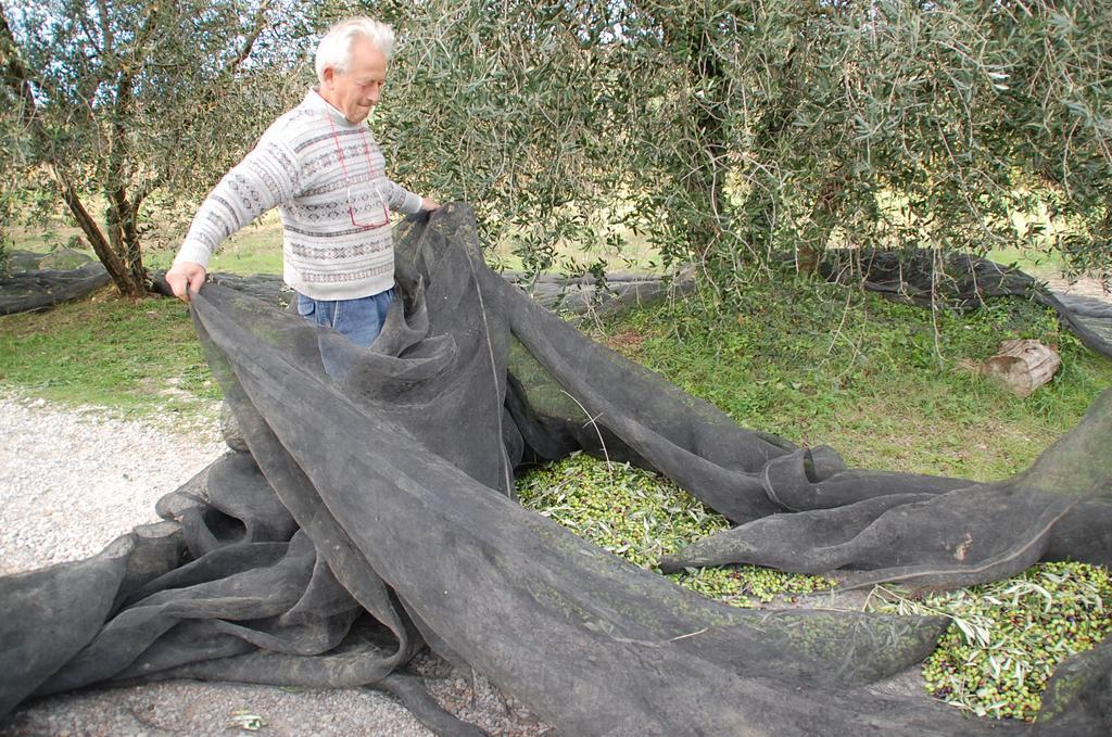 Willa Due Piani Barberino di Val dʼElsa Zewnętrze zdjęcie