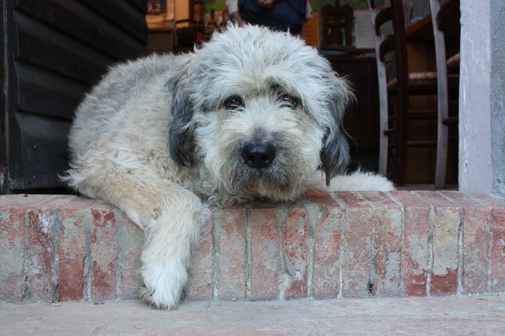 Willa Due Piani Barberino di Val dʼElsa Zewnętrze zdjęcie