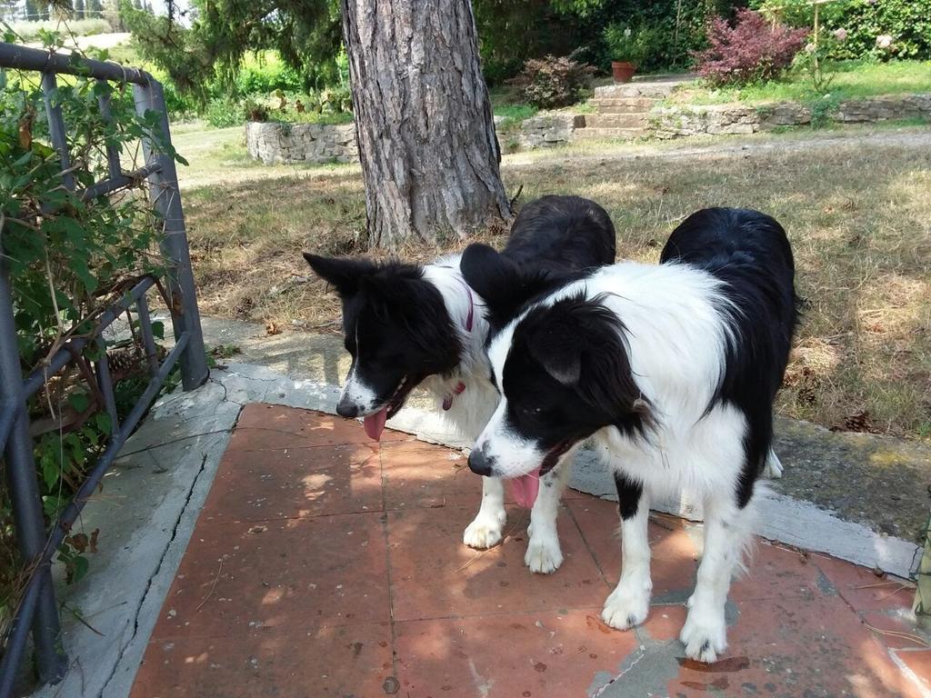 Willa Due Piani Barberino di Val dʼElsa Zewnętrze zdjęcie