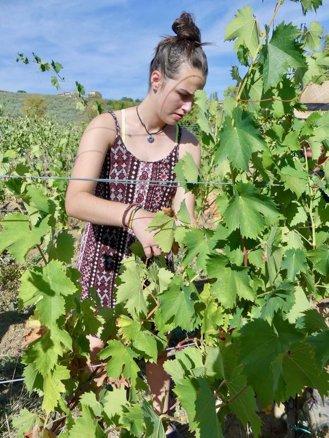 Willa Due Piani Barberino di Val dʼElsa Zewnętrze zdjęcie